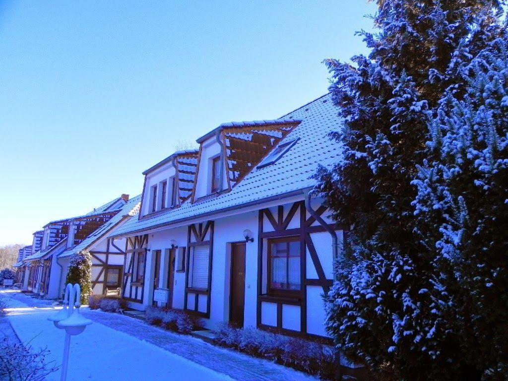 Ferienwohnung-Nils-Holgerson-Mit-Balkon-Zwischen-Strand-Wald-Wiese-Im-Suedosten-Der-Insel-Ruegen Gustow  Bagian luar foto