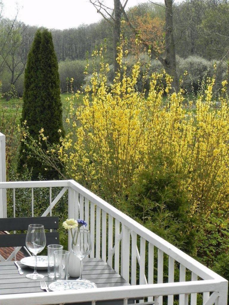 Ferienwohnung-Nils-Holgerson-Mit-Balkon-Zwischen-Strand-Wald-Wiese-Im-Suedosten-Der-Insel-Ruegen Gustow  Bagian luar foto